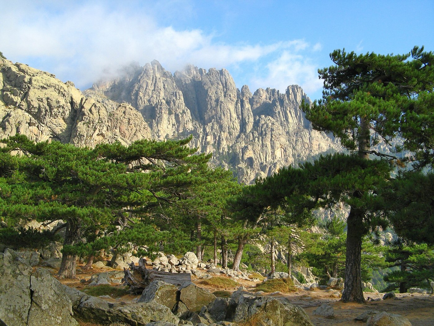Les aiguilles de Bavella et les pins laricio, Corse-du-Sud